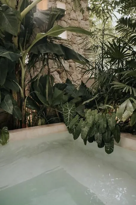 شقة Design Casa Amonita تولوم