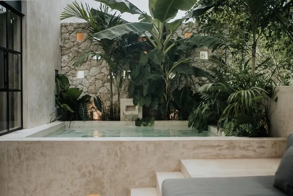 Design Casa Amonita Apartment Tulum